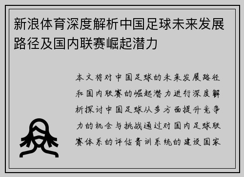 新浪体育深度解析中国足球未来发展路径及国内联赛崛起潜力